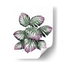 Planta De Monstera, Rosa Y Verde. - Fab Funky | Cuadro decorativo de Canvas Lab