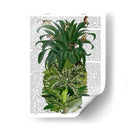 Piña, Monos - Fab Funky | Cuadro decorativo de Canvas Lab