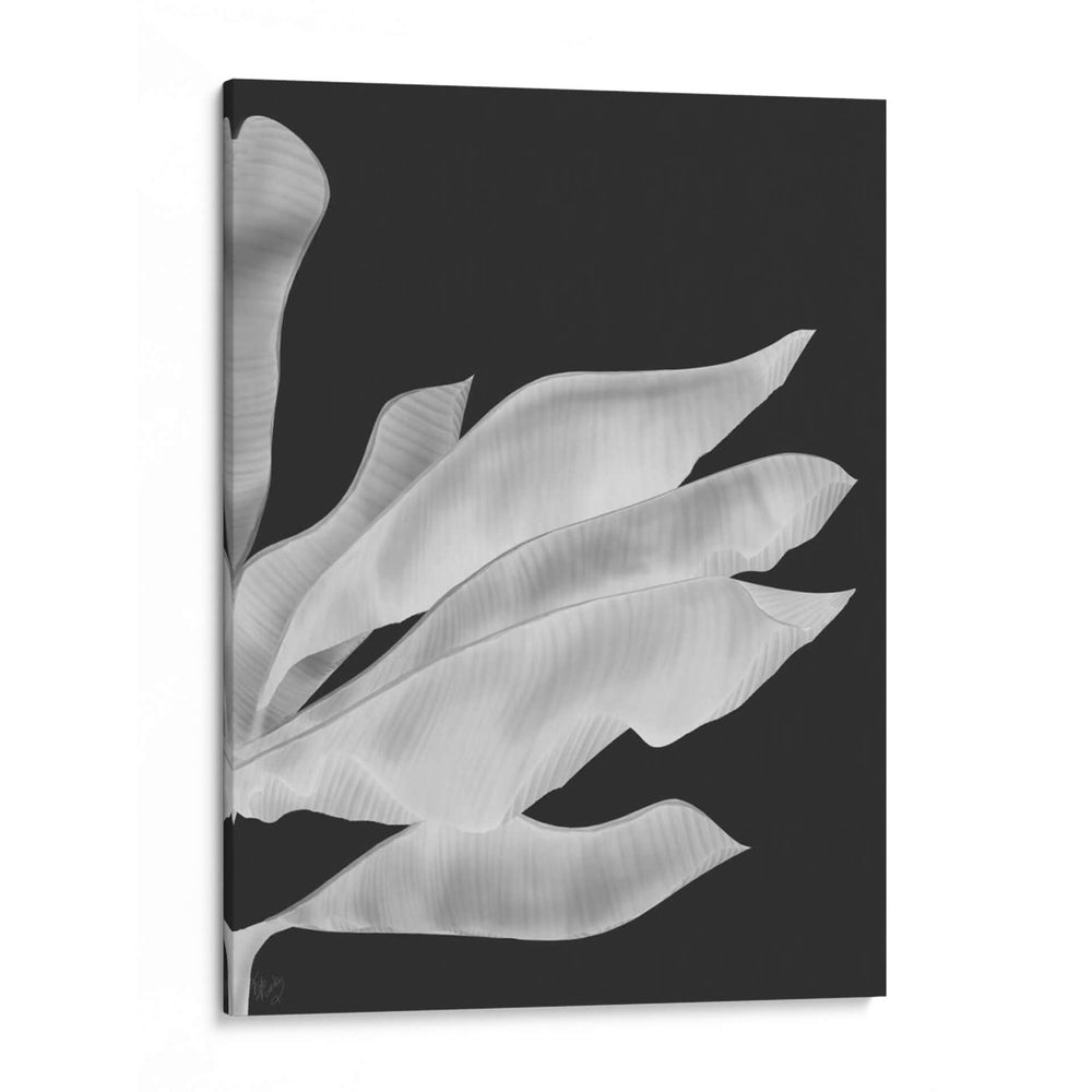 Hojas De Plátano 1, Blanco En Negro - Fab Funky | Cuadro decorativo de Canvas Lab