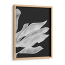 Hojas De Plátano 1, Blanco En Negro - Fab Funky | Cuadro decorativo de Canvas Lab