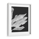 Hojas De Plátano 1, Blanco En Negro - Fab Funky | Cuadro decorativo de Canvas Lab