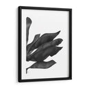 Hojas De Plátano 1, Negro En Blanco - Fab Funky | Cuadro decorativo de Canvas Lab