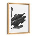 Hojas De Plátano 1, Negro En Blanco - Fab Funky | Cuadro decorativo de Canvas Lab