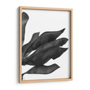 Hojas De Plátano 1, Negro En Blanco - Fab Funky | Cuadro decorativo de Canvas Lab