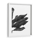 Hojas De Plátano 1, Negro En Blanco - Fab Funky | Cuadro decorativo de Canvas Lab