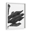 Hojas De Plátano 1, Negro En Blanco - Fab Funky | Cuadro decorativo de Canvas Lab