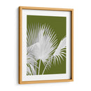 Fan Palm 1, Blanco En Verde - Fab Funky | Cuadro decorativo de Canvas Lab