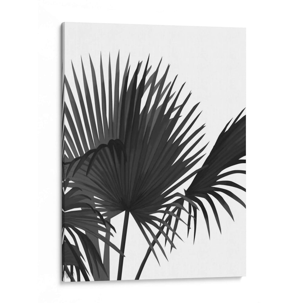 Fan Palm 1, Negro En Blanco - Fab Funky | Cuadro decorativo de Canvas Lab