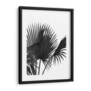 Fan Palm 1, Negro En Blanco - Fab Funky | Cuadro decorativo de Canvas Lab