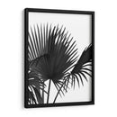 Fan Palm 1, Negro En Blanco - Fab Funky | Cuadro decorativo de Canvas Lab
