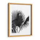 Fan Palm 1, Negro En Blanco - Fab Funky | Cuadro decorativo de Canvas Lab