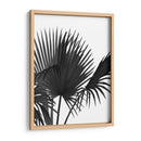 Fan Palm 1, Negro En Blanco - Fab Funky | Cuadro decorativo de Canvas Lab