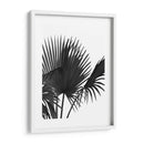 Fan Palm 1, Negro En Blanco - Fab Funky | Cuadro decorativo de Canvas Lab