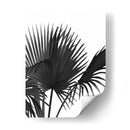 Fan Palm 1, Negro En Blanco - Fab Funky | Cuadro decorativo de Canvas Lab