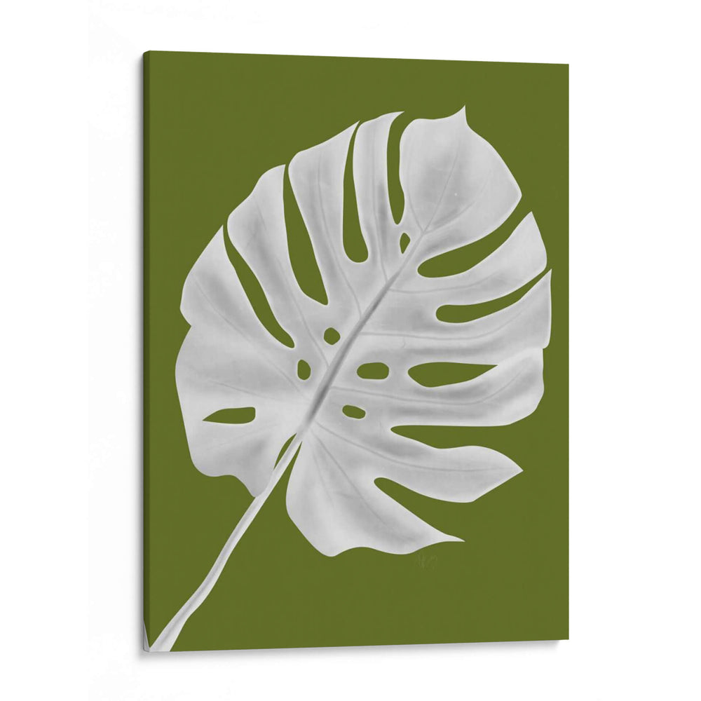 Hoja De Monstera 1, Blanco En Verde - Fab Funky | Cuadro decorativo de Canvas Lab