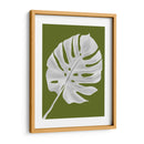 Hoja De Monstera 1, Blanco En Verde - Fab Funky | Cuadro decorativo de Canvas Lab