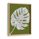 Hoja De Monstera 1, Blanco En Verde - Fab Funky | Cuadro decorativo de Canvas Lab