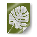 Hoja De Monstera 1, Blanco En Verde - Fab Funky | Cuadro decorativo de Canvas Lab