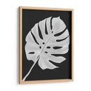 Hoja De Monstera 1, Blanco En Negro - Fab Funky | Cuadro decorativo de Canvas Lab