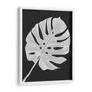 Hoja De Monstera 1, Blanco En Negro - Fab Funky | Cuadro decorativo de Canvas Lab