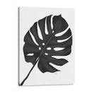 Hoja De Monstera 1, Negro En Blanco - Fab Funky | Cuadro decorativo de Canvas Lab