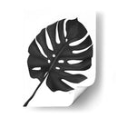 Hoja De Monstera 1, Negro En Blanco - Fab Funky | Cuadro decorativo de Canvas Lab