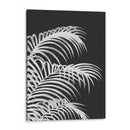 Hoja De Palma 1, Blanco En Negro - Fab Funky | Cuadro decorativo de Canvas Lab
