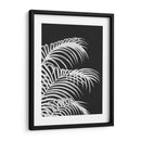 Hoja De Palma 1, Blanco En Negro - Fab Funky | Cuadro decorativo de Canvas Lab