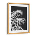 Hoja De Palma 1, Blanco En Negro - Fab Funky | Cuadro decorativo de Canvas Lab