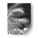 Hoja De Palma 1, Blanco En Negro - Fab Funky | Cuadro decorativo de Canvas Lab