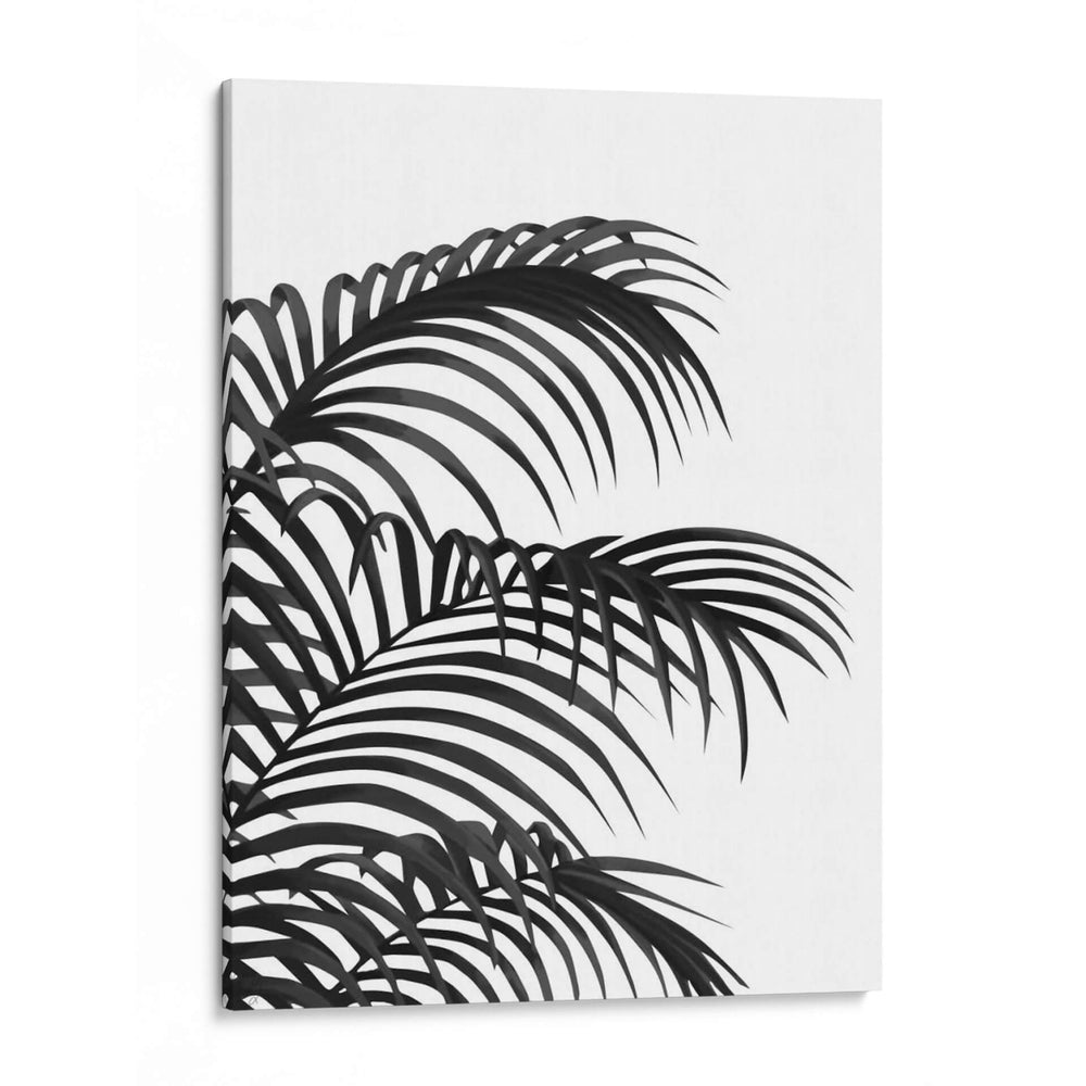 Hoja De Palma 1, Negro En Blanco - Fab Funky | Cuadro decorativo de Canvas Lab