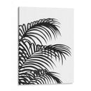 Hoja De Palma 1, Negro En Blanco - Fab Funky | Cuadro decorativo de Canvas Lab