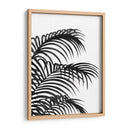 Hoja De Palma 1, Negro En Blanco - Fab Funky | Cuadro decorativo de Canvas Lab