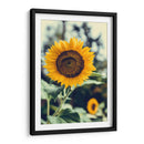 Bonito girasol | Cuadro decorativo de Canvas Lab