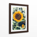 Bonito girasol | Cuadro decorativo de Canvas Lab