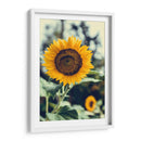 Bonito girasol | Cuadro decorativo de Canvas Lab