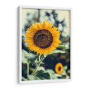 Bonito girasol | Cuadro decorativo de Canvas Lab