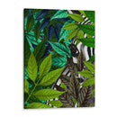 Cebra En Hojas Verdes - Fab Funky | Cuadro decorativo de Canvas Lab
