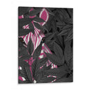 Cebra, Rosa En Hojas Negras - Fab Funky | Cuadro decorativo de Canvas Lab