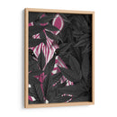 Cebra, Rosa En Hojas Negras - Fab Funky | Cuadro decorativo de Canvas Lab