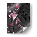 Cebra, Rosa En Hojas Negras - Fab Funky | Cuadro decorativo de Canvas Lab