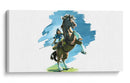 Breath of the wild | Cuadro decorativo de Canvas Lab