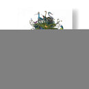 El Pájaro - Fab Funky | Cuadro decorativo de Canvas Lab