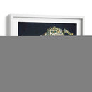 Mariposa Liebre - Fab Funky | Cuadro decorativo de Canvas Lab