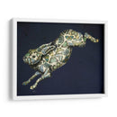 Mariposa Liebre - Fab Funky | Cuadro decorativo de Canvas Lab