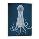 Octopus 8, Blanco En Azul - Fab Funky | Cuadro decorativo de Canvas Lab