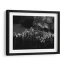 Cactus respingando | Cuadro decorativo de Canvas Lab