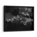 Cactus respingando | Cuadro decorativo de Canvas Lab
