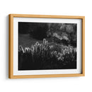 Cactus respingando | Cuadro decorativo de Canvas Lab