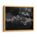 Cactus respingando | Cuadro decorativo de Canvas Lab